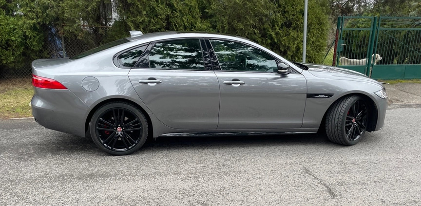 Jaguar XF cena 135900 przebieg: 53000, rok produkcji 2020 z Łomianki małe 106